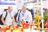 On-site19-img051